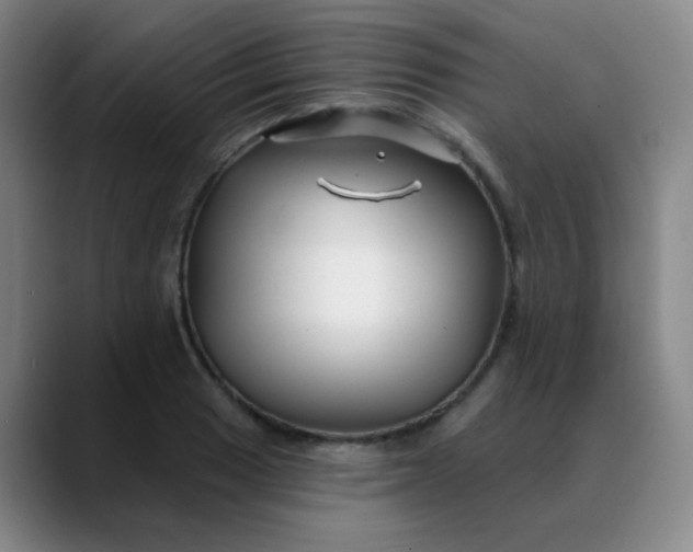 X0000088711033200706141444