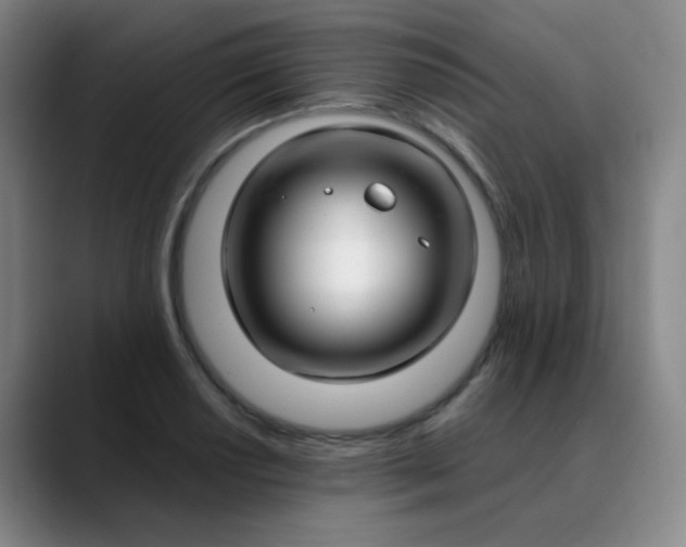 X0000088711034200706141444