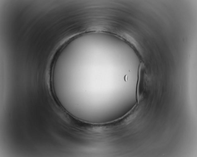 X0000088711035200706141444