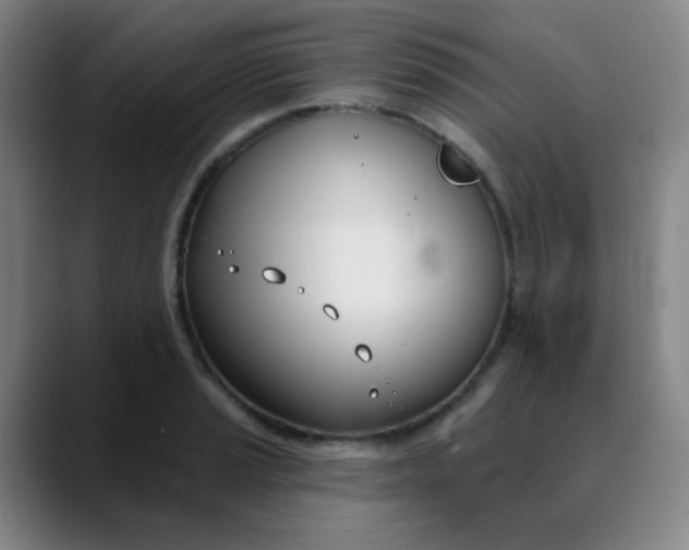 X0000088711037200706141445