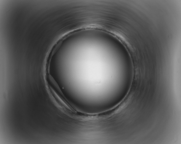 X0000088711038200706141445