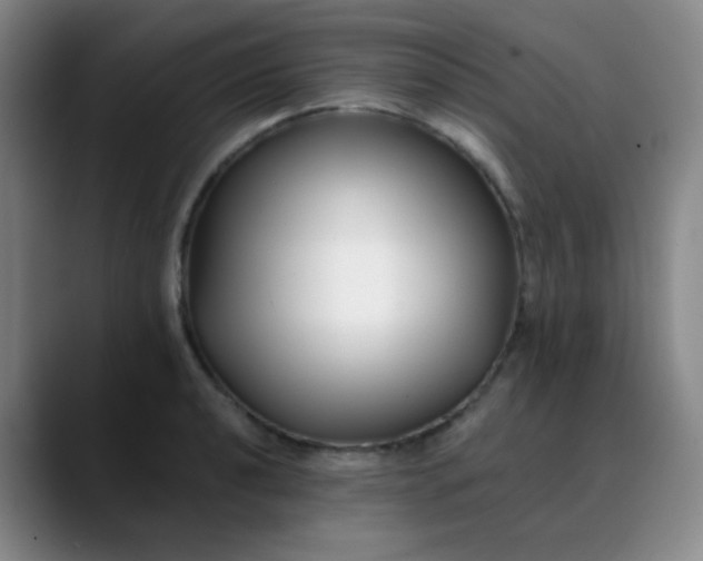 X0000088711040200706141445