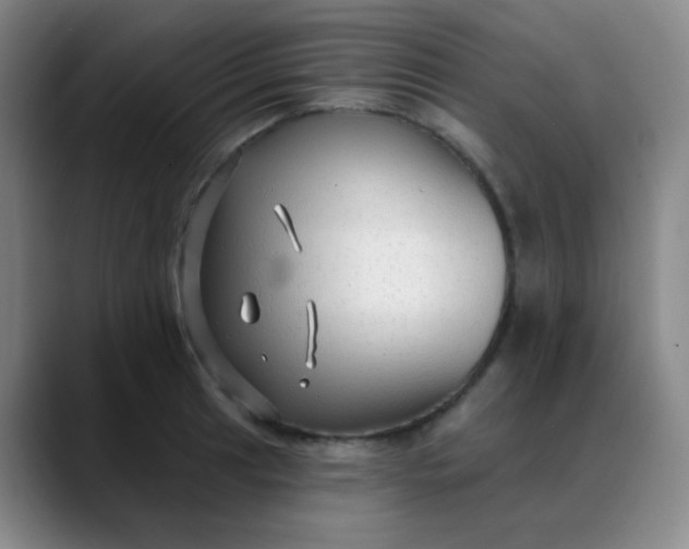 X0000088711041200706141445