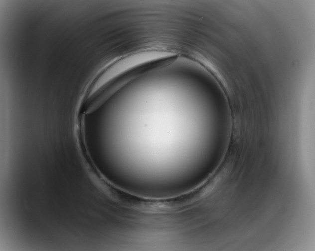 X0000088711042200706141445