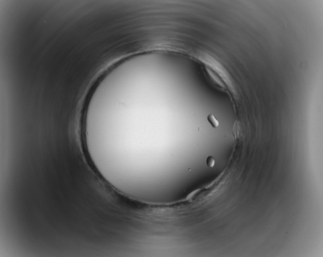 X0000088711043200706141445