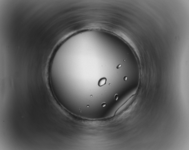 X0000088711045200706141445