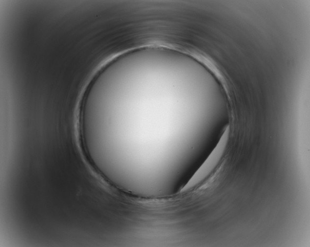 X0000088711048200706141445