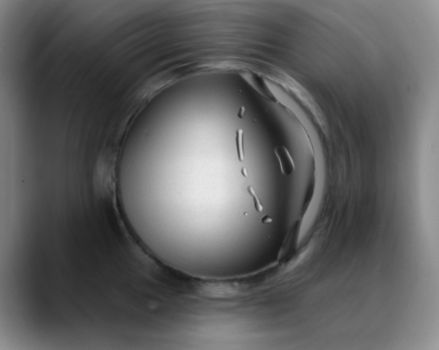 X0000088711049200706141445