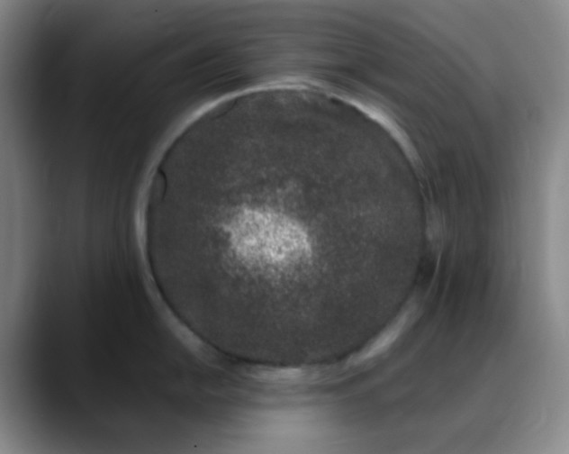 X0000088711054200706141445