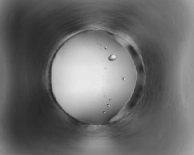 X0000088711056200706141445