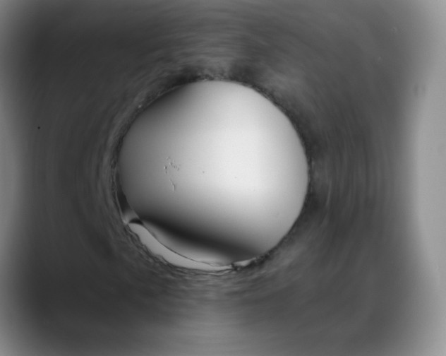 X0000088711057200706141444