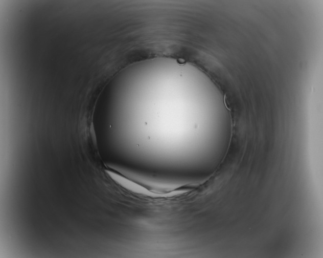 X0000088711058200706141444