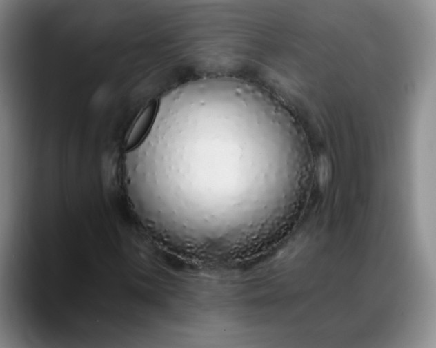 X0000088711059200706141444