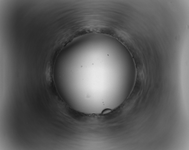 X0000088711060200706141444