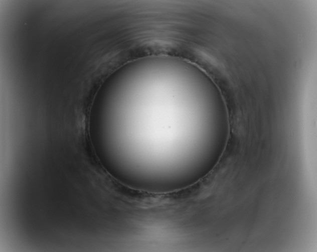 X0000088711061200706141444