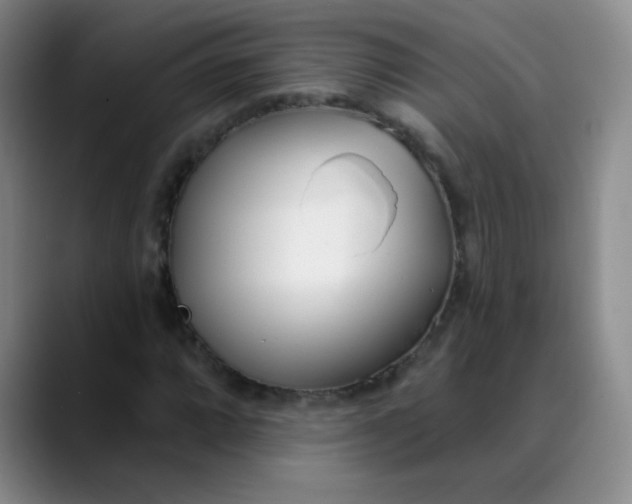 X0000088711064200706141444