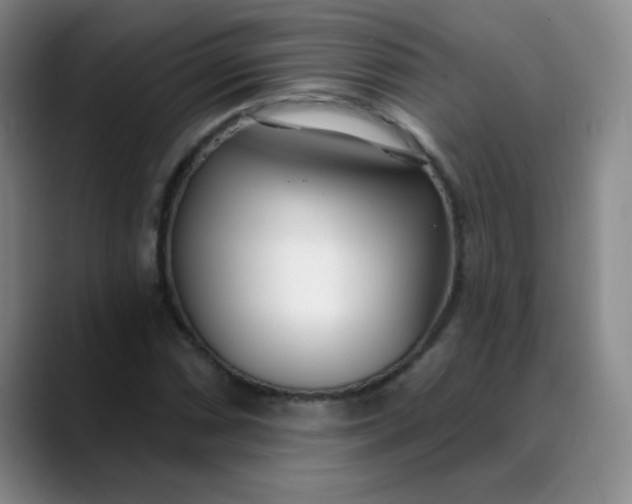 X0000088711066200706141444