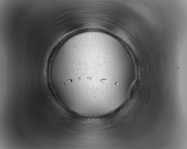 X0000088711068200706141444