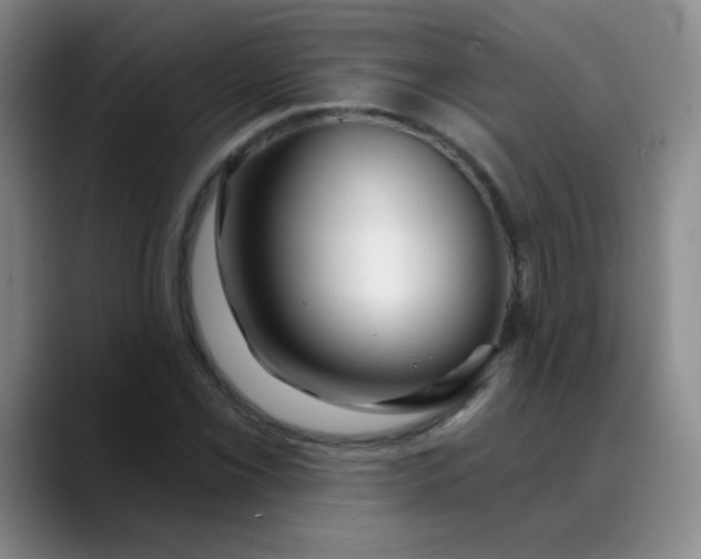 X0000088711069200706141444