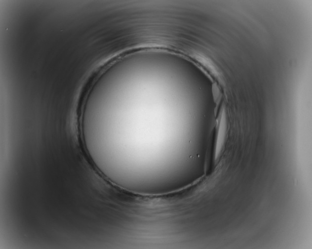 X0000088711072200706141444