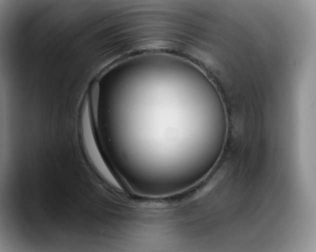 X0000088711073200706141444