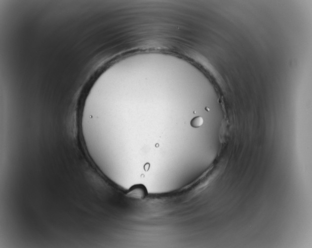 X0000088711075200706141444