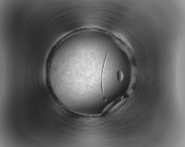 X0000088711076200706141444