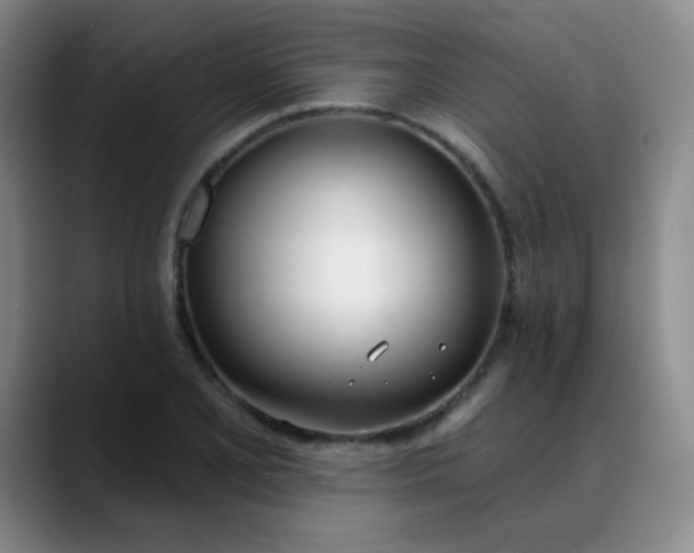 X0000088711077200706141444