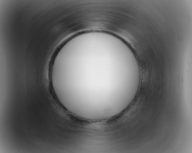 X0000088711078200706141444