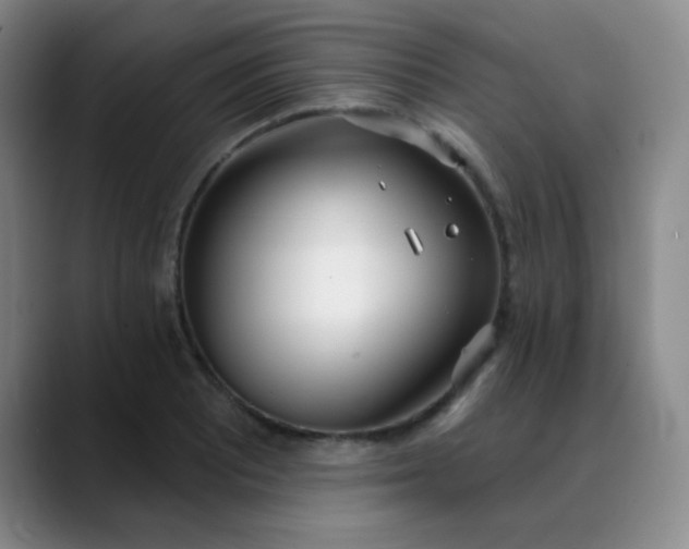 X0000088711081200706141444