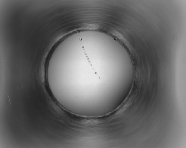 X0000088711083200706141444