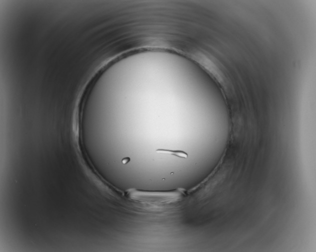 X0000088711084200706141444