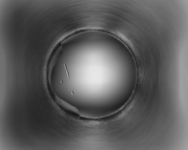 X0000088711085200706141444