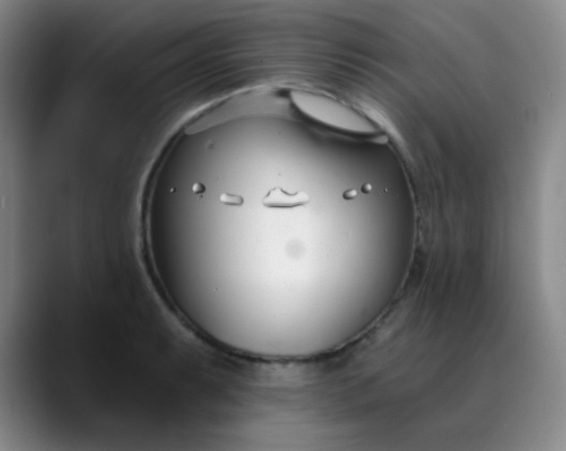 X0000088711087200706141444