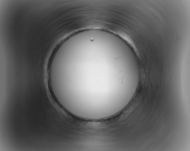 X0000088711088200706141444