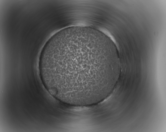 X0000088711091200706141444
