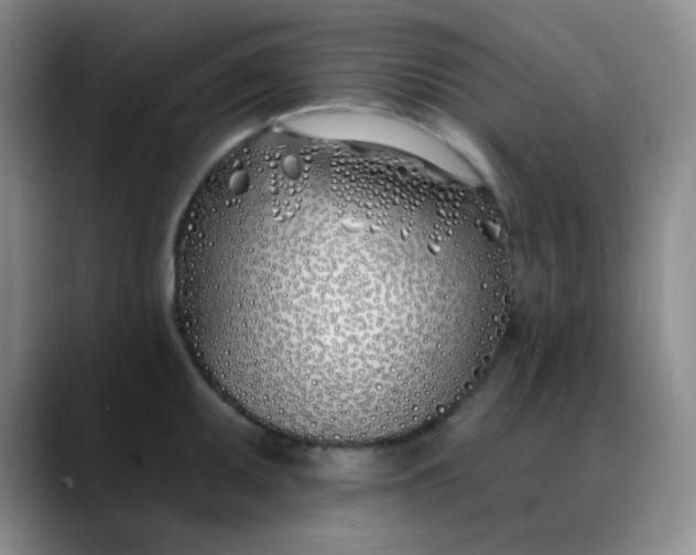 X0000088711095200706141444