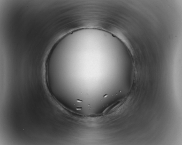 X0000088711096200706141444