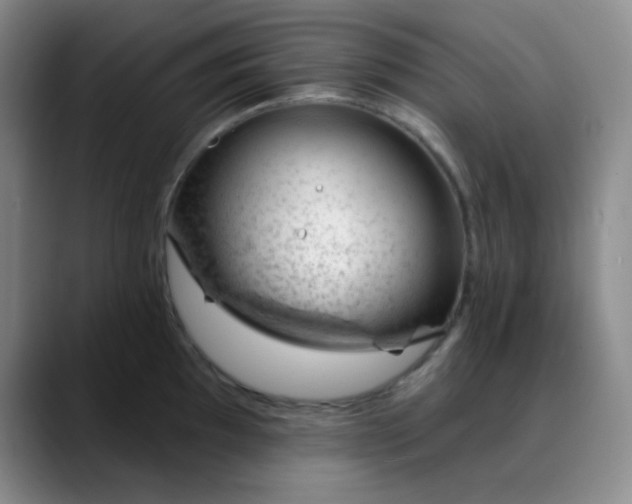 X0000088711097200706141444