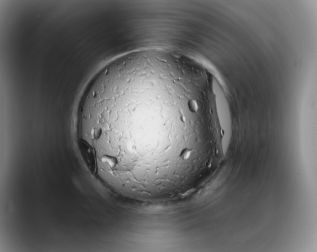 X0000088711099200706141444