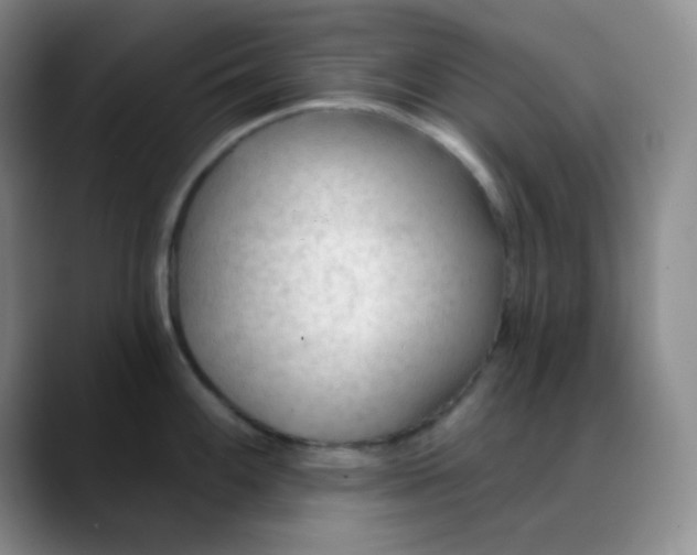 X0000088711100200706141444