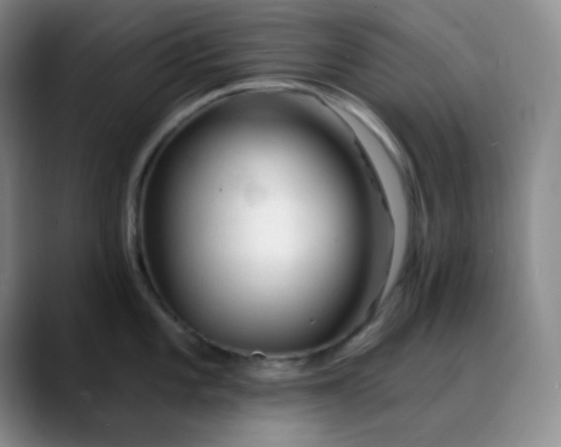 X0000088711101200706141444