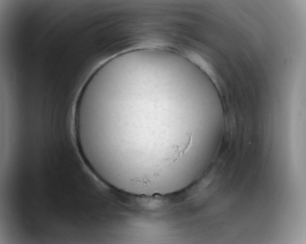 X0000088711103200706141444