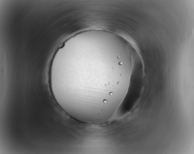 X0000088711104200706141444