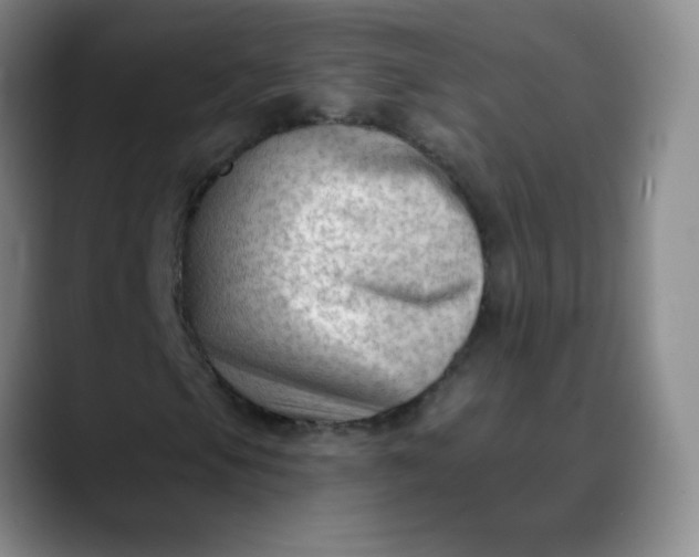 X0000088711105200706141443