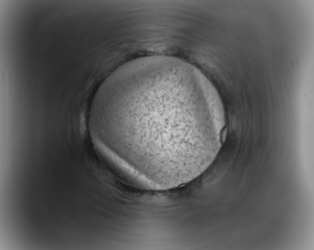 X0000088711106200706141443