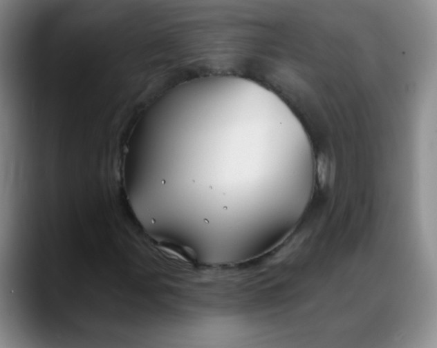 X0000088711107200706141443