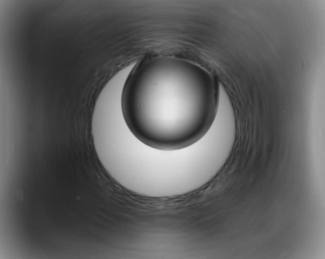 X0000088711108200706141443