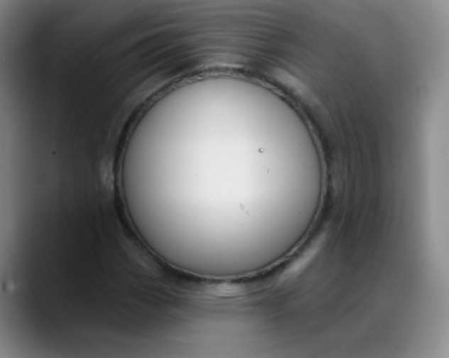 X0000088711113200706141443