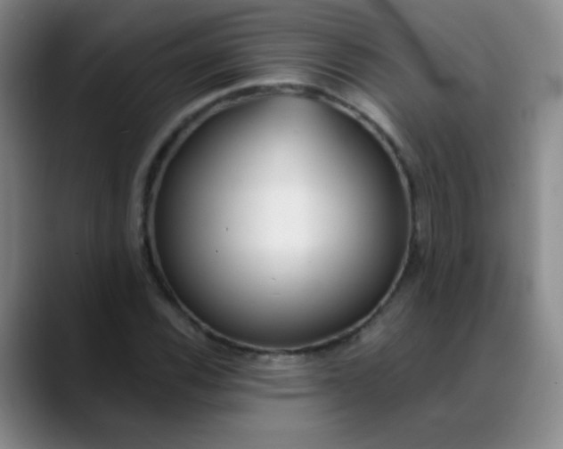 X0000088711116200706141443